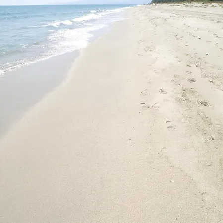 Marina Corsa Three 150 M From The - アパート *